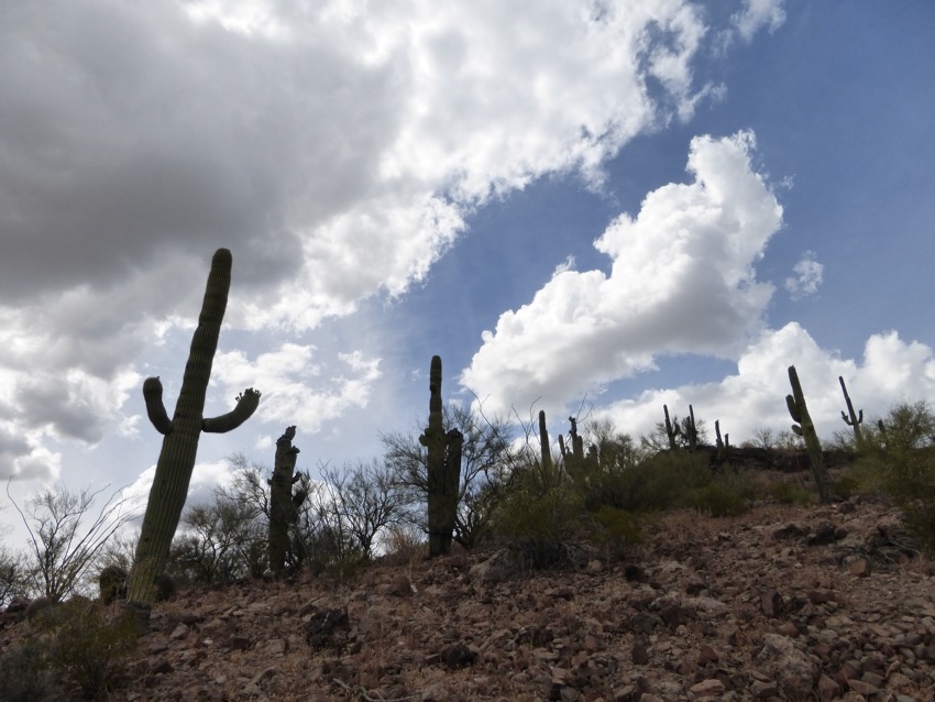 This beautiful desert scenery is very deceiving