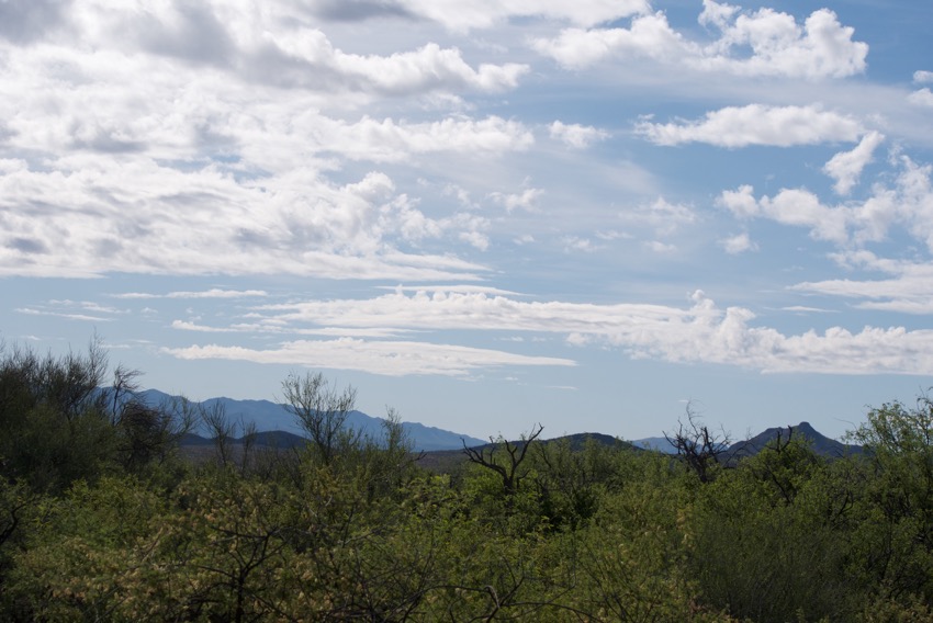 Miles and miles of desert - where immigrants walk