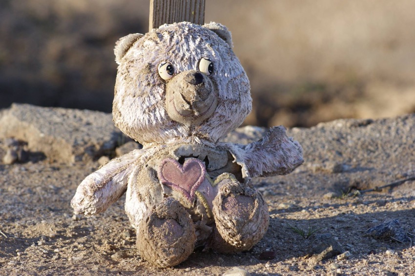 A Teddy in the desert